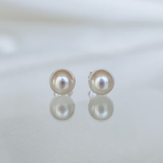 A pair of round freshwater pearl stud earrings with a soft champagne color, displayed on a reflective light gray surface.